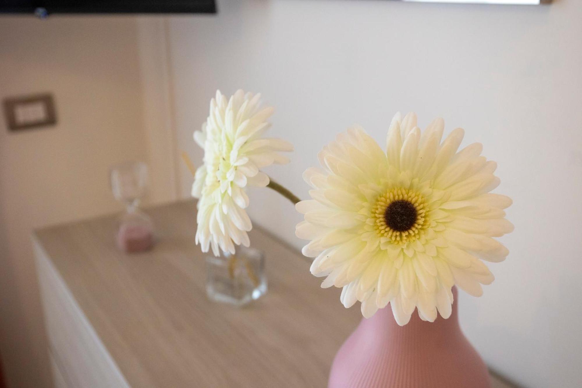 Emy House Sorrento Apartment ภายนอก รูปภาพ